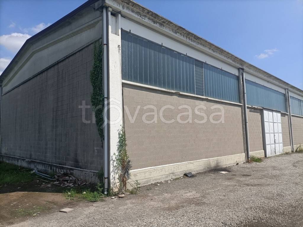 immagine annuncio 6 di 8
