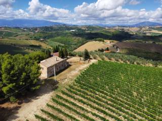 Azienda agricola in vendita ad acquaviva picena contrada forola, 15