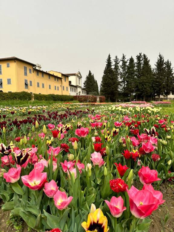 immagine annuncio 7 di 11