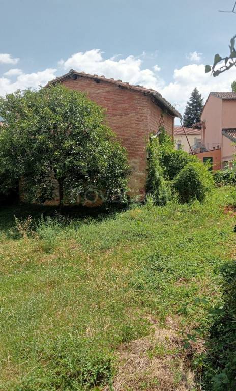 immagine annuncio 2 di 6