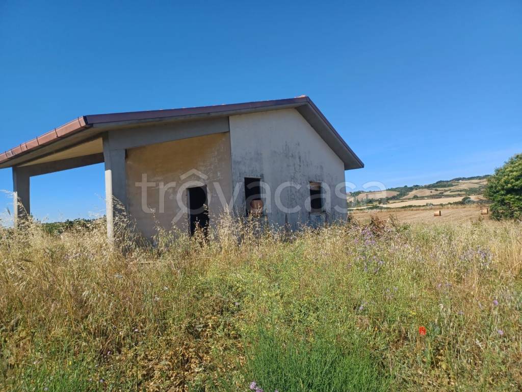 immagine annuncio 8 di 12