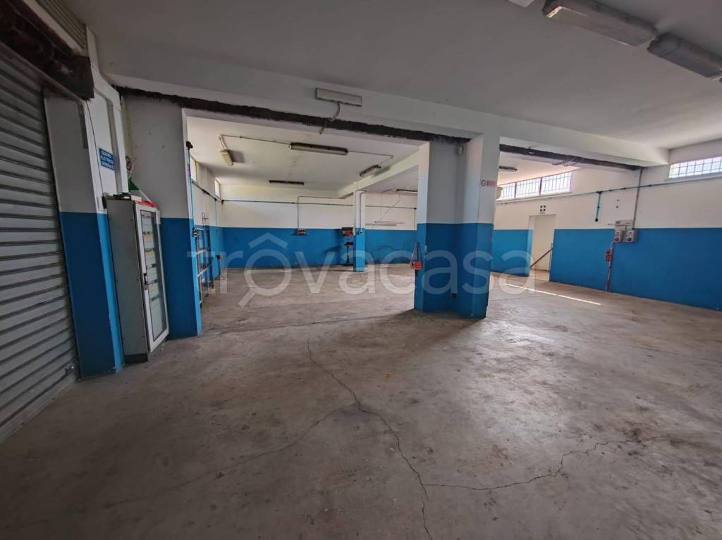 immagine annuncio 2 di 10