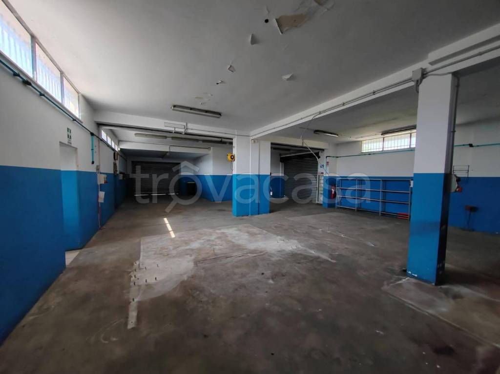 immagine annuncio 9 di 10