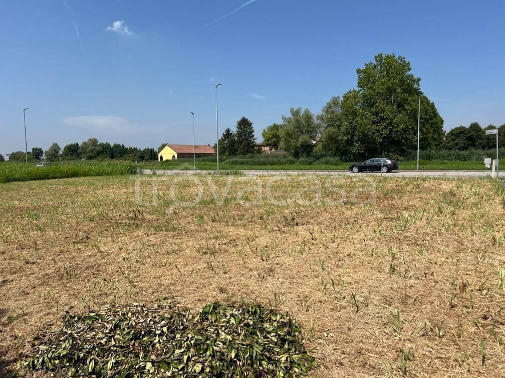 immagine annuncio 1 di 8