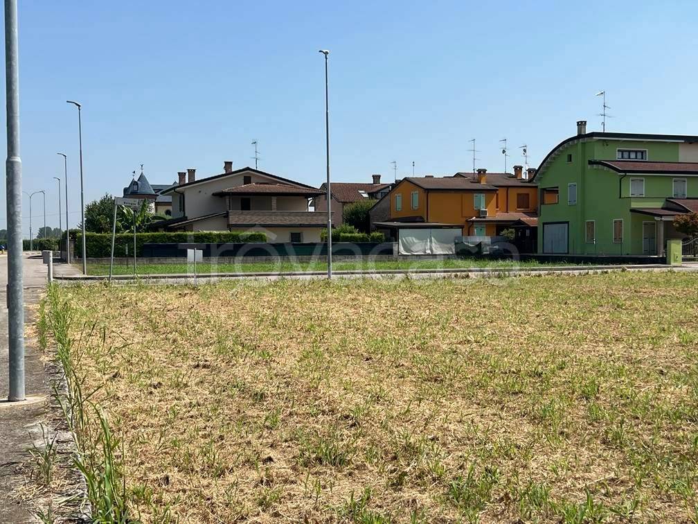immagine annuncio 6 di 8
