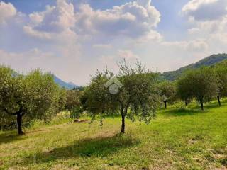 Terreno agricolo in vendita a teolo via monte madonna