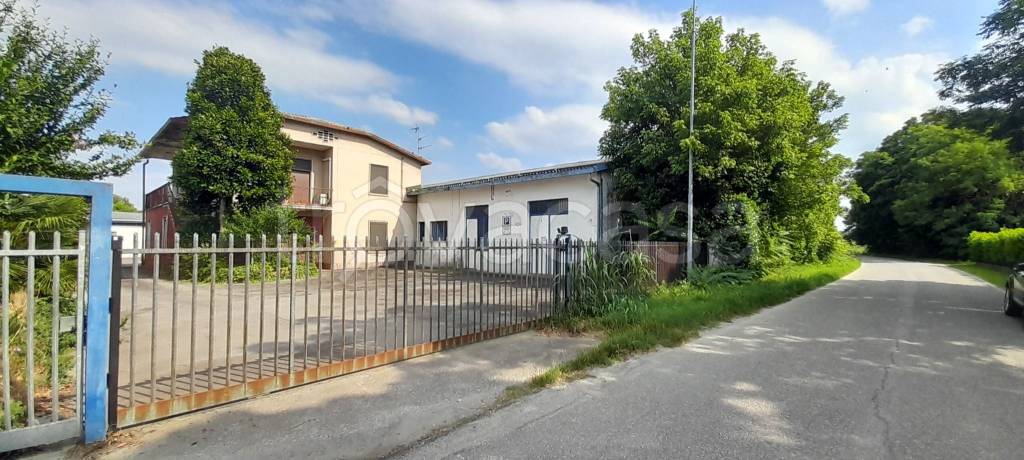 immagine annuncio 4 di 5