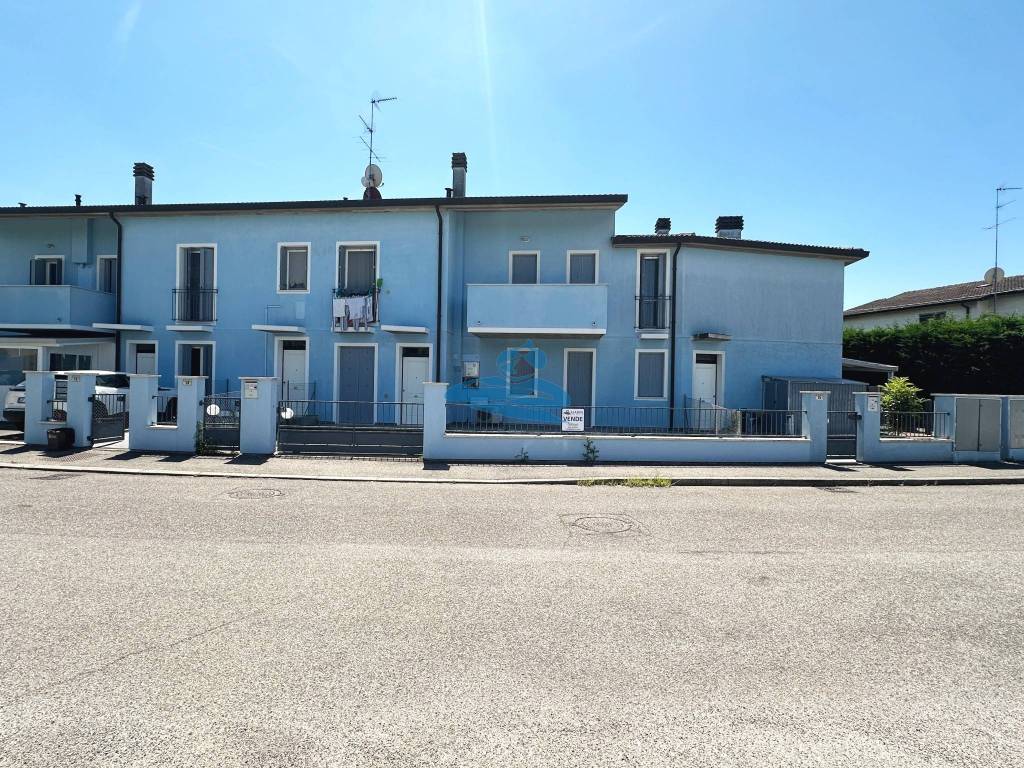 immagine annuncio 1 di 14