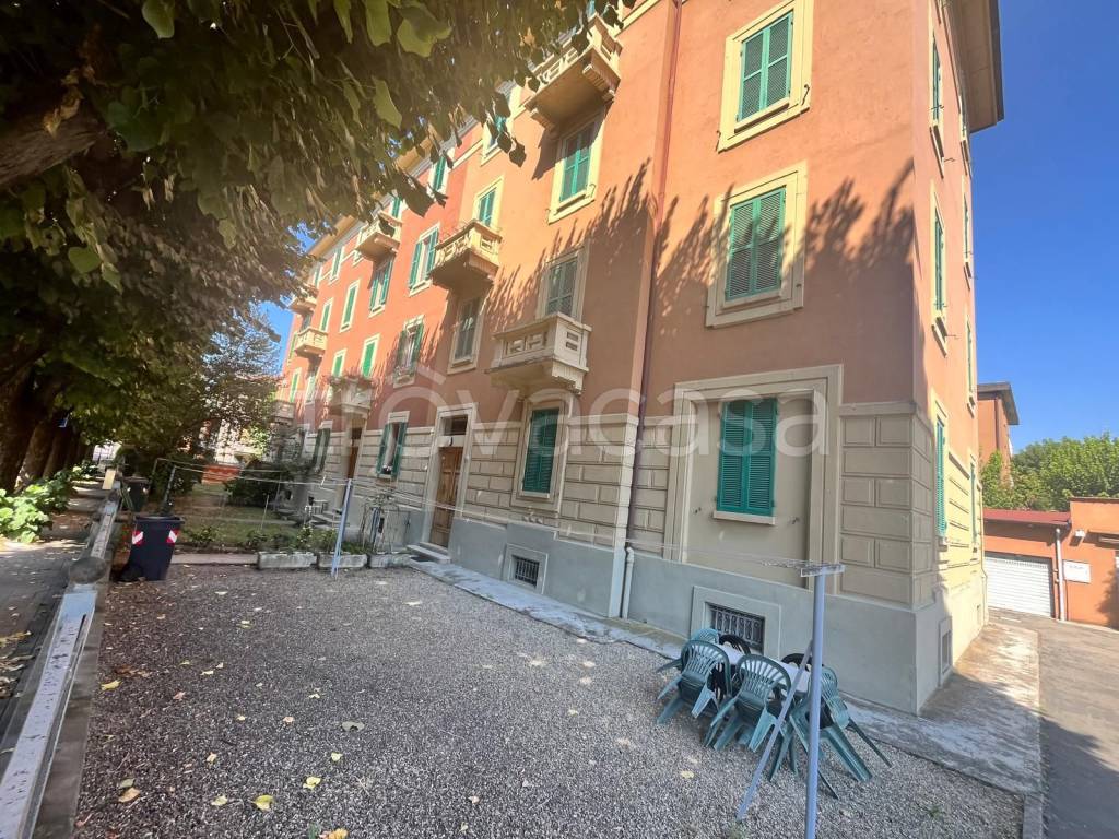 immagine annuncio 6 di 12