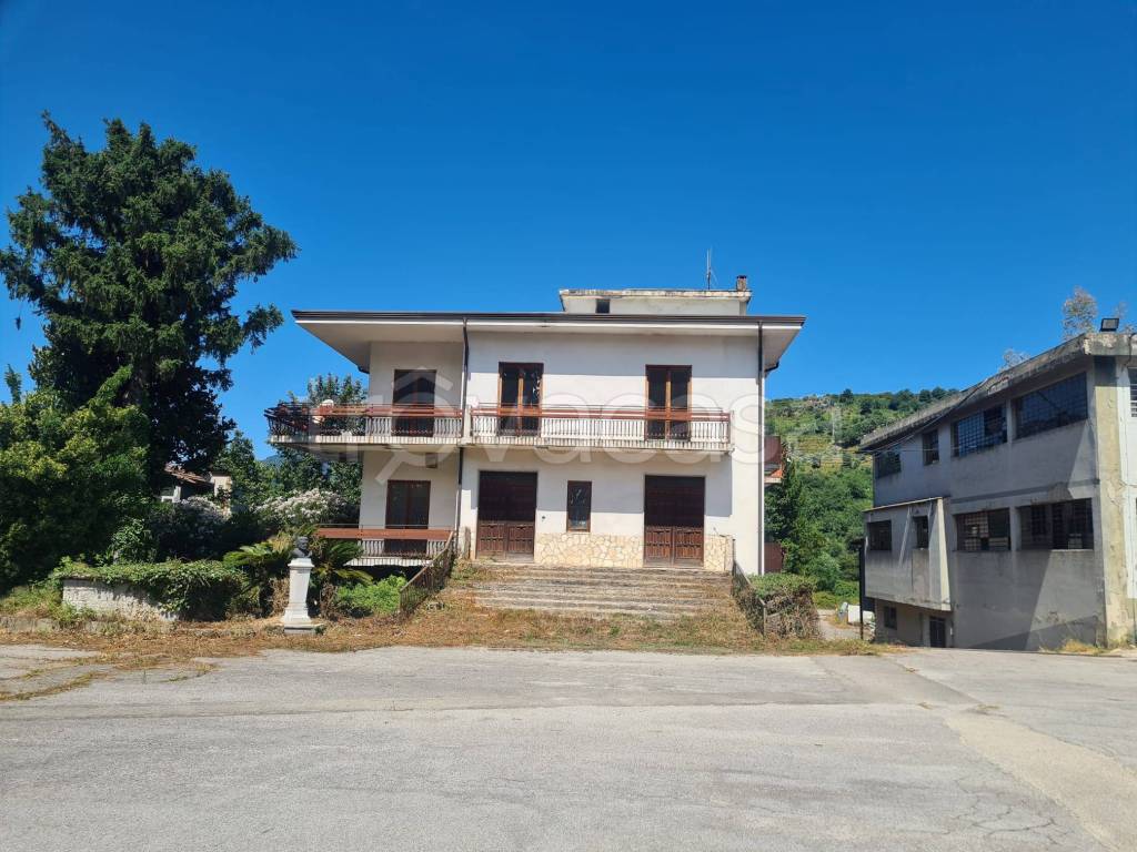 immagine annuncio 2 di 8