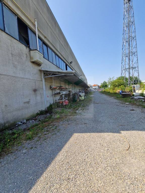 immagine annuncio 3 di 14