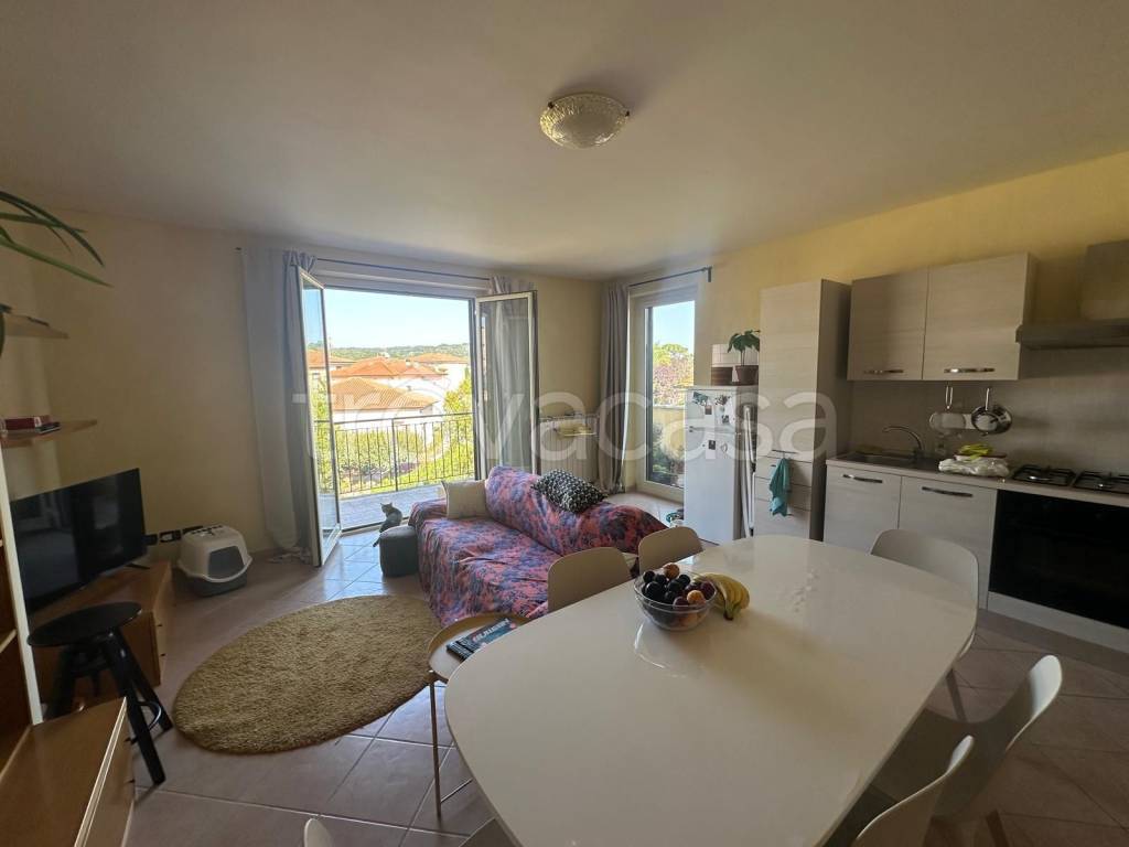 immagine annuncio 1 di 15