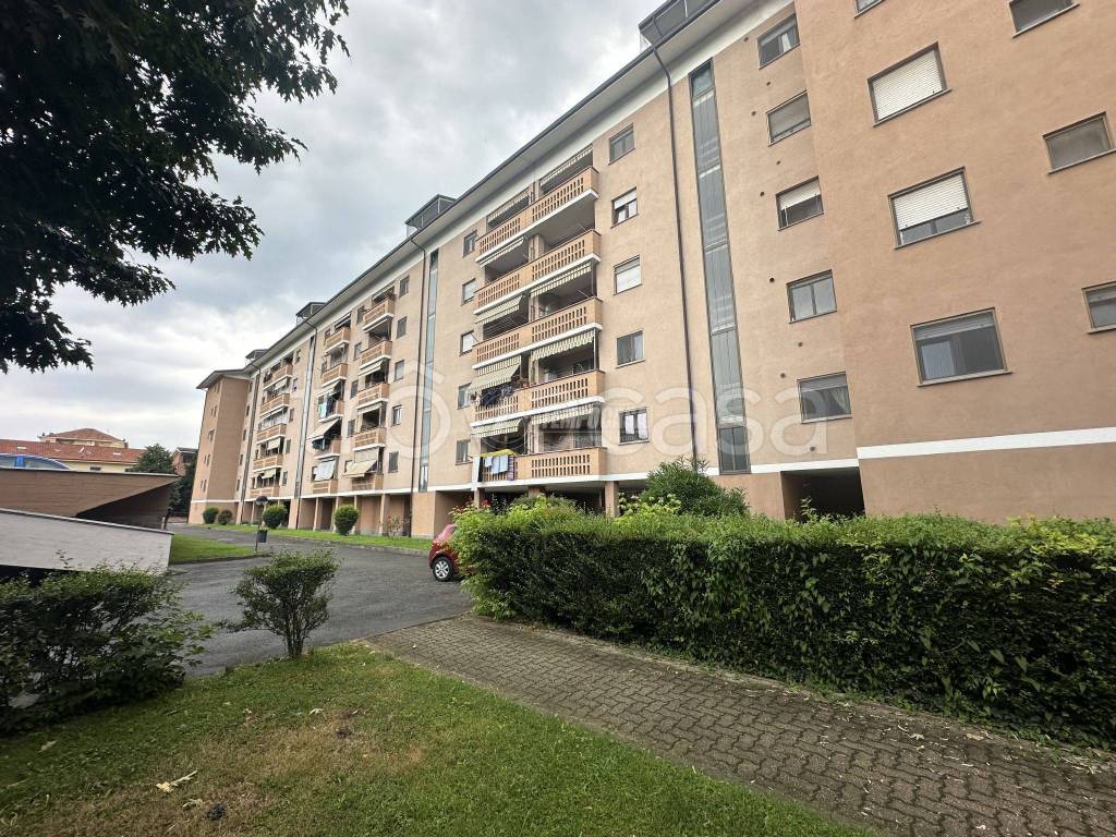 immagine annuncio 1 di 15