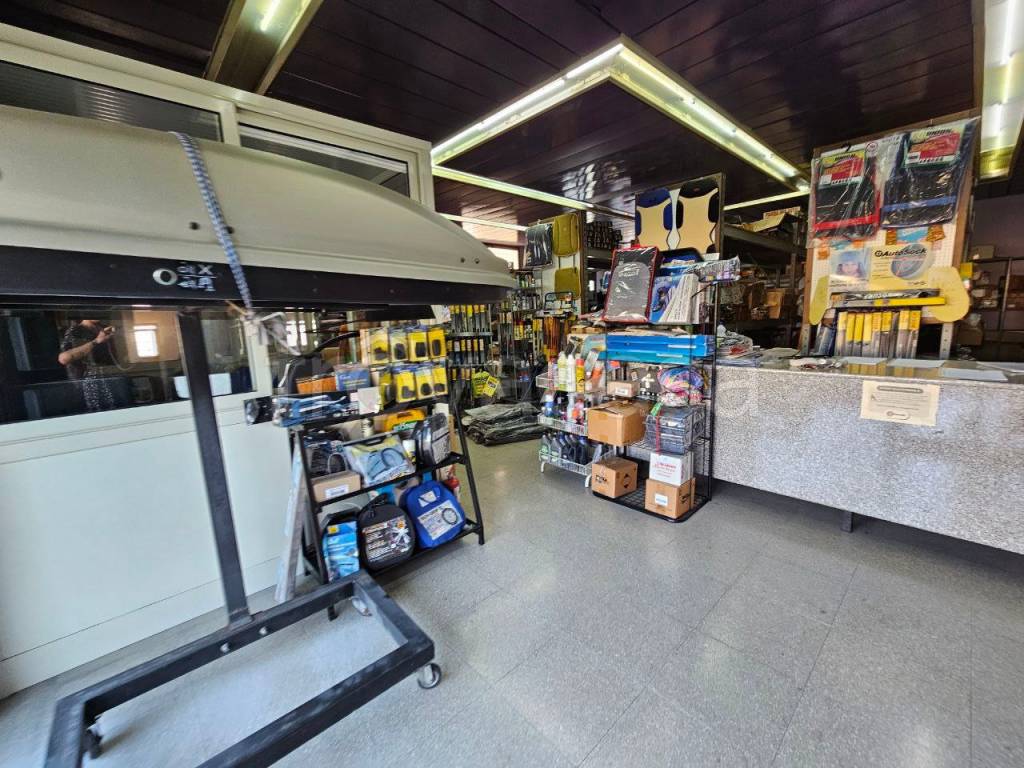 immagine annuncio 12 di 15