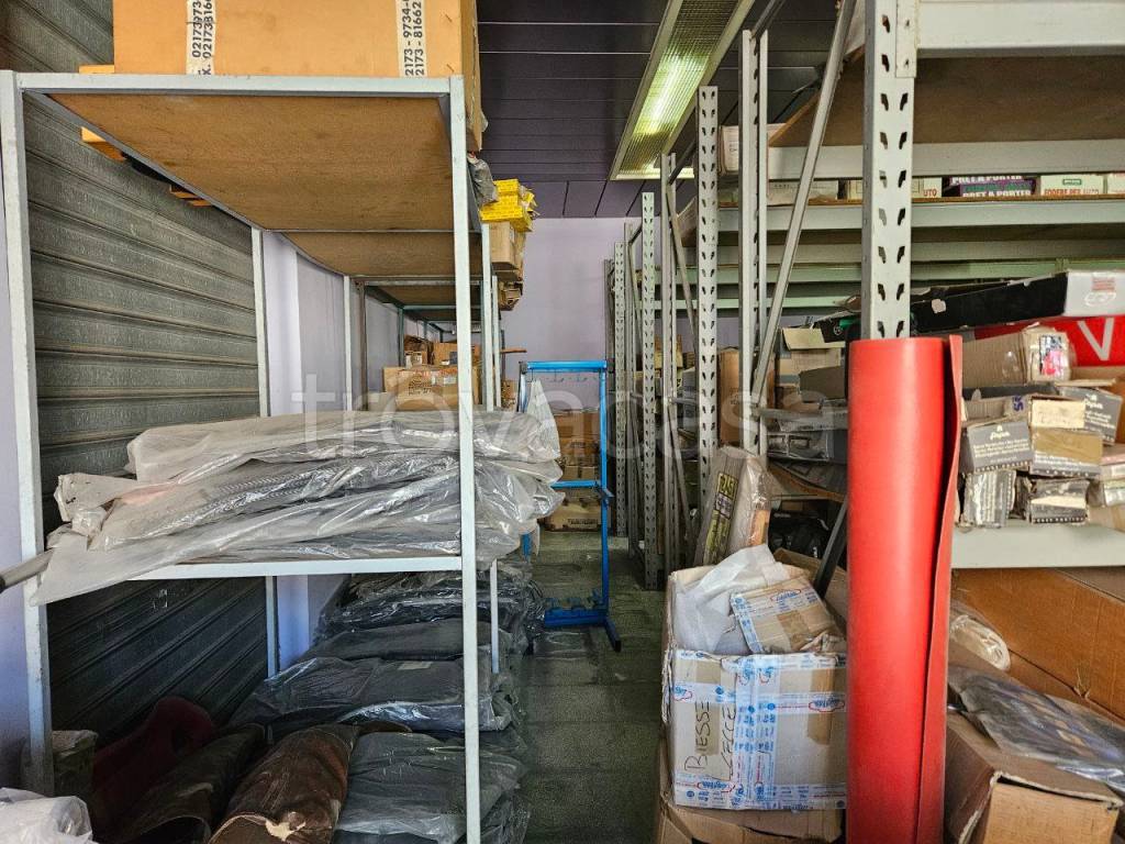 immagine annuncio 11 di 15