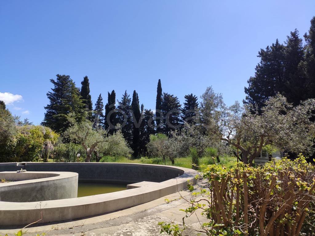 immagine annuncio 8 di 14