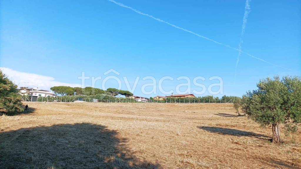 immagine annuncio 9 di 11