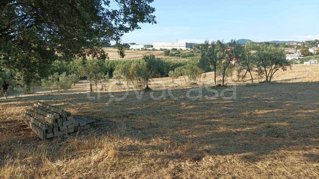 immagine annuncio 10 di 11