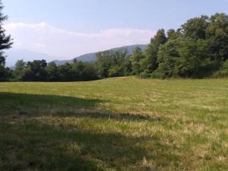 Terreno agricolo in affitto a ferrera di varese via per ferrera