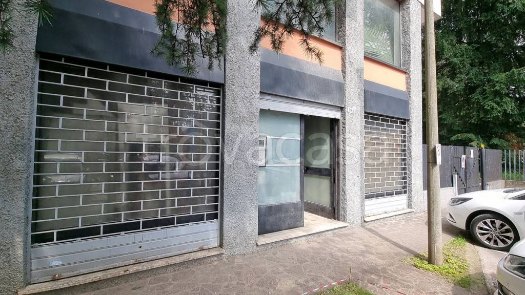 immagine annuncio 10 di 12