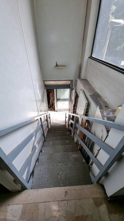 immagine annuncio 3 di 12