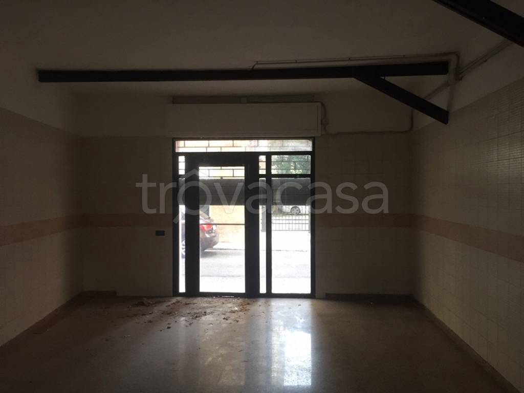 immagine annuncio 1 di 8