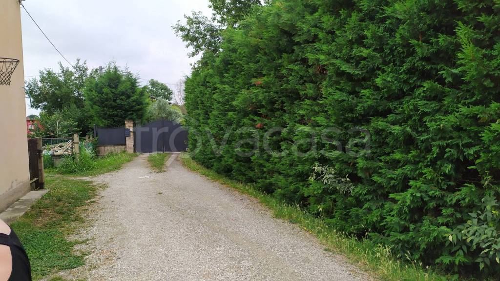 immagine annuncio 2 di 14