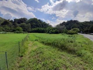 Terreno agricolo in vendita a borgosesia regione cesolo