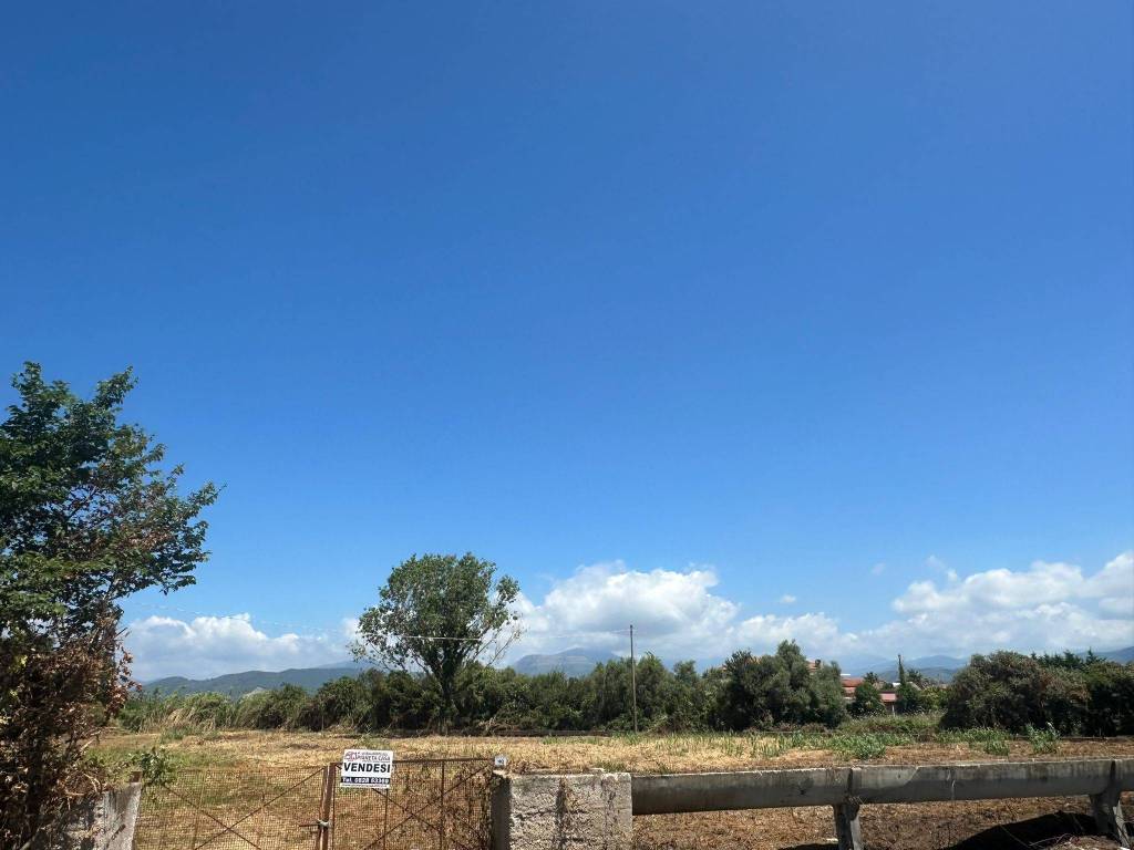 immagine annuncio 7 di 14