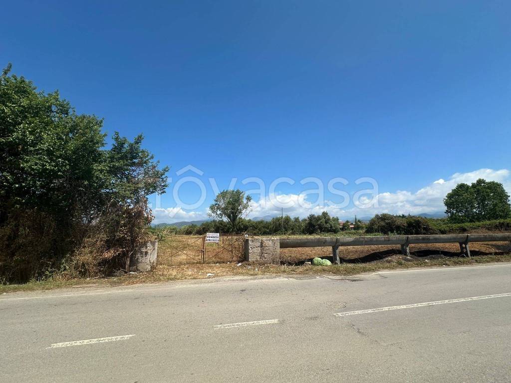 immagine annuncio 8 di 14