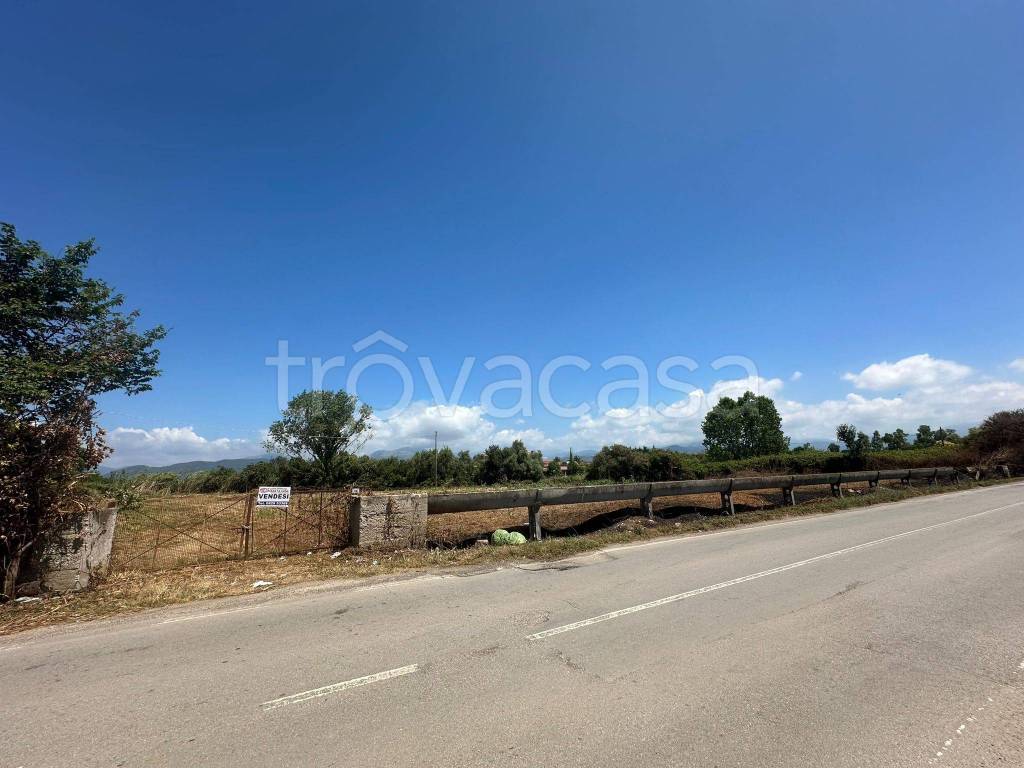 immagine annuncio 9 di 14