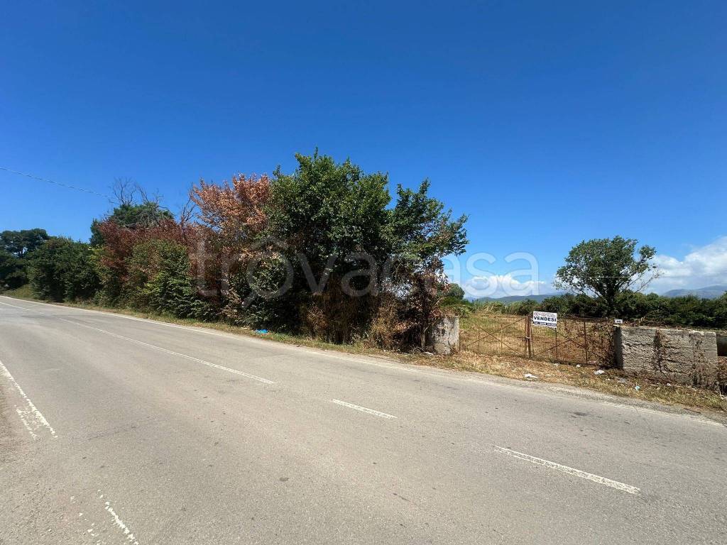 immagine annuncio 10 di 14