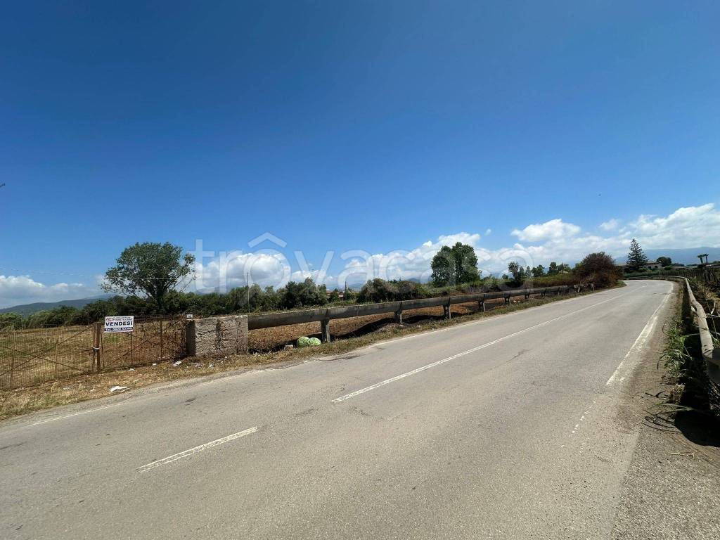 immagine annuncio 11 di 14