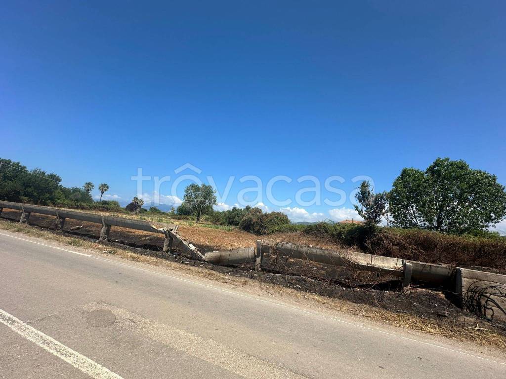 immagine annuncio 12 di 14