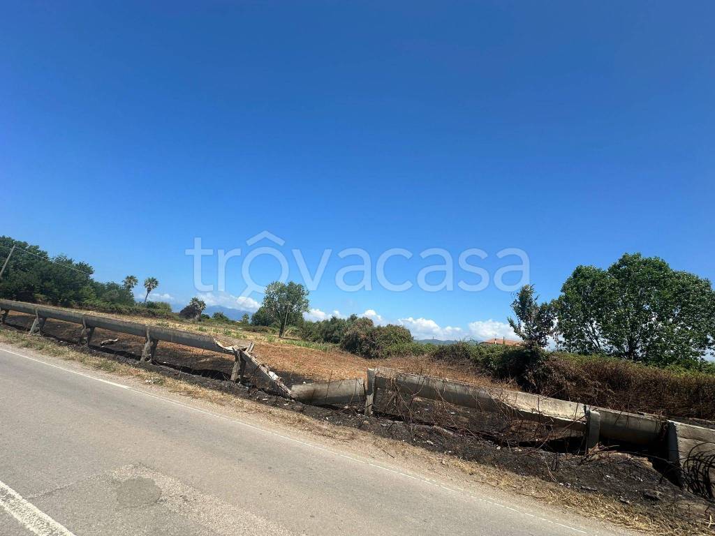 immagine annuncio 13 di 14