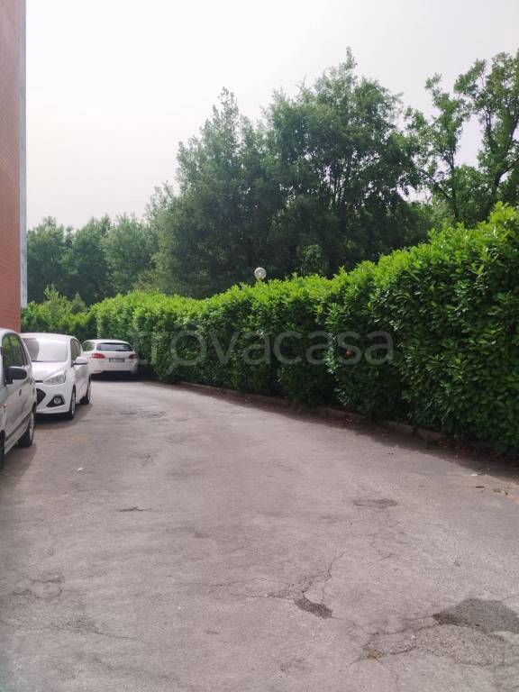 immagine annuncio 3 di 13