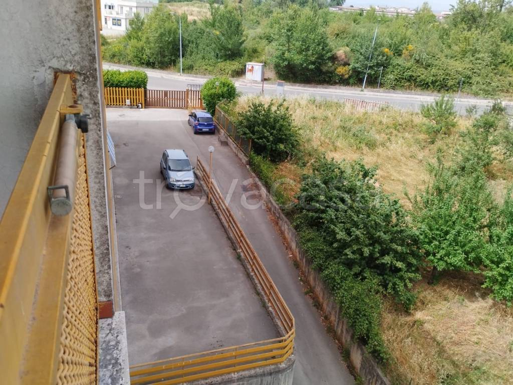immagine annuncio 7 di 13