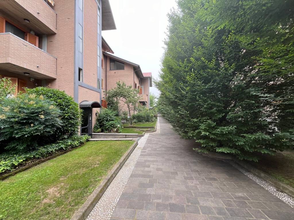immagine annuncio 5 di 15