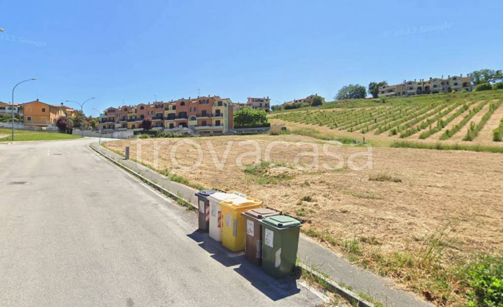 immagine annuncio 3 di 11