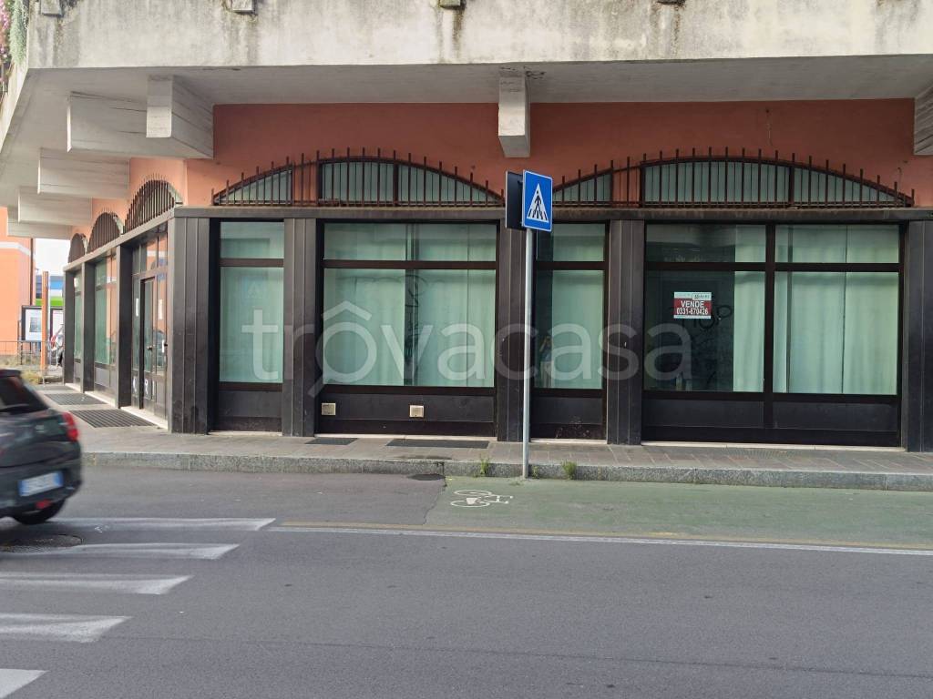 immagine annuncio 4 di 14