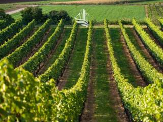 Terreno agricolo in vendita a bolzano via sarentino