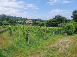 Terreno agricolo in vendita a salussola via dorzano, 46