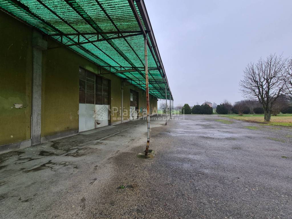 immagine annuncio 4 di 7