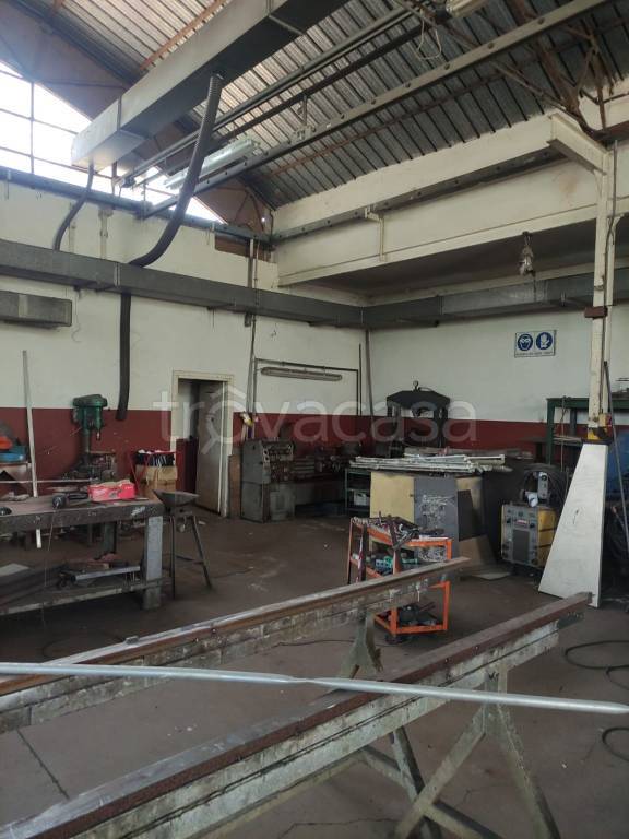 immagine annuncio 9 di 15