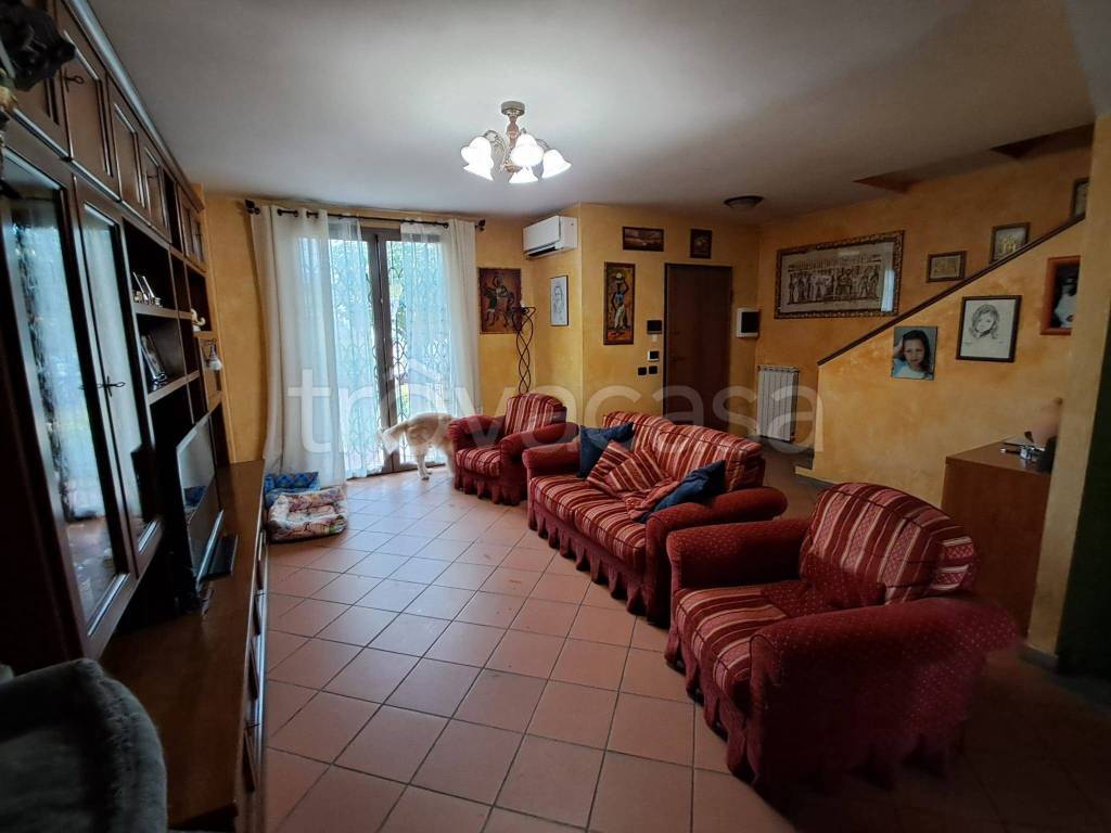 immagine annuncio 10 di 15