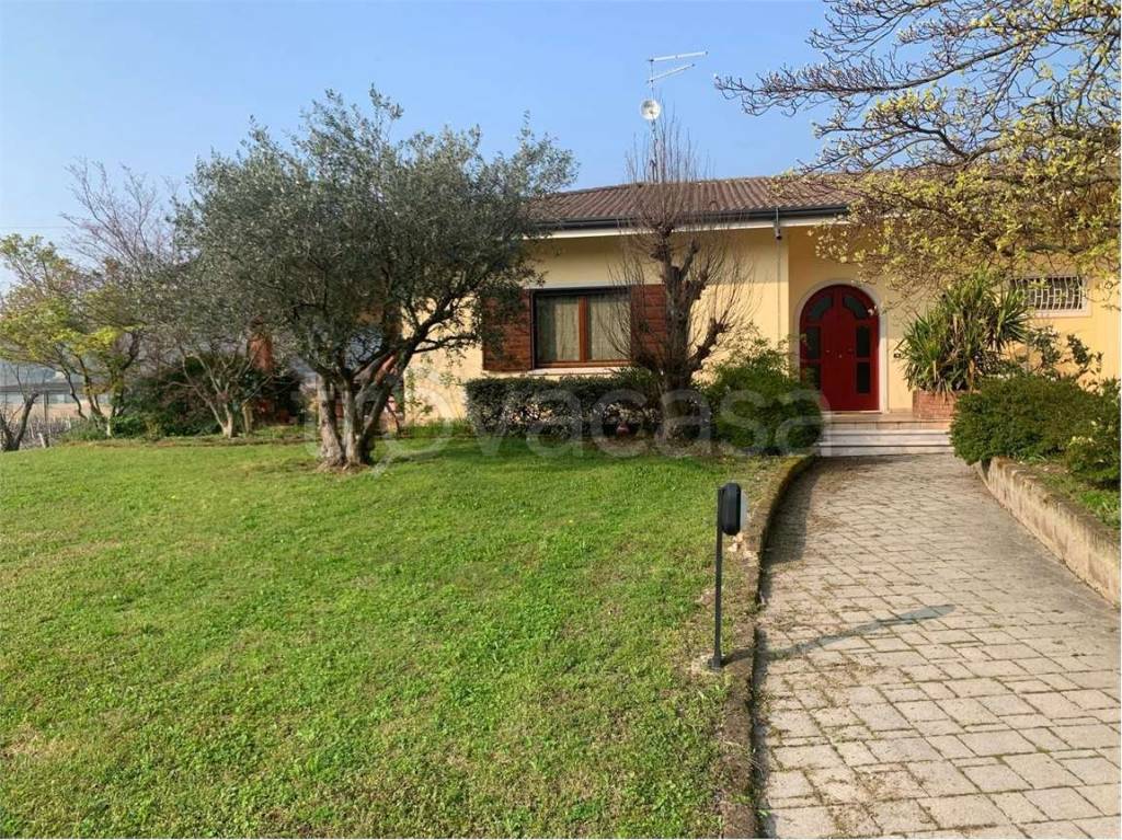 immagine annuncio 1 di 6