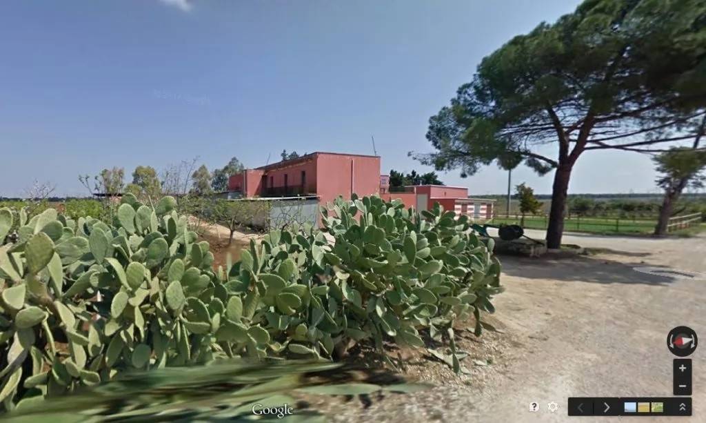 immagine annuncio 3 di 11