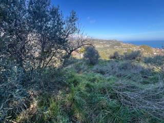 Terreno agricolo in vendita a costarainera regione di torre del poggio