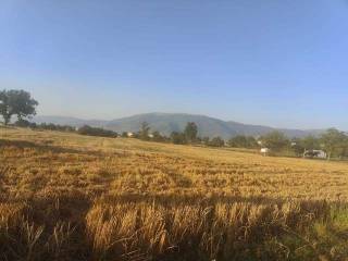 Terreno industriale in affitto a spoleto san brizio