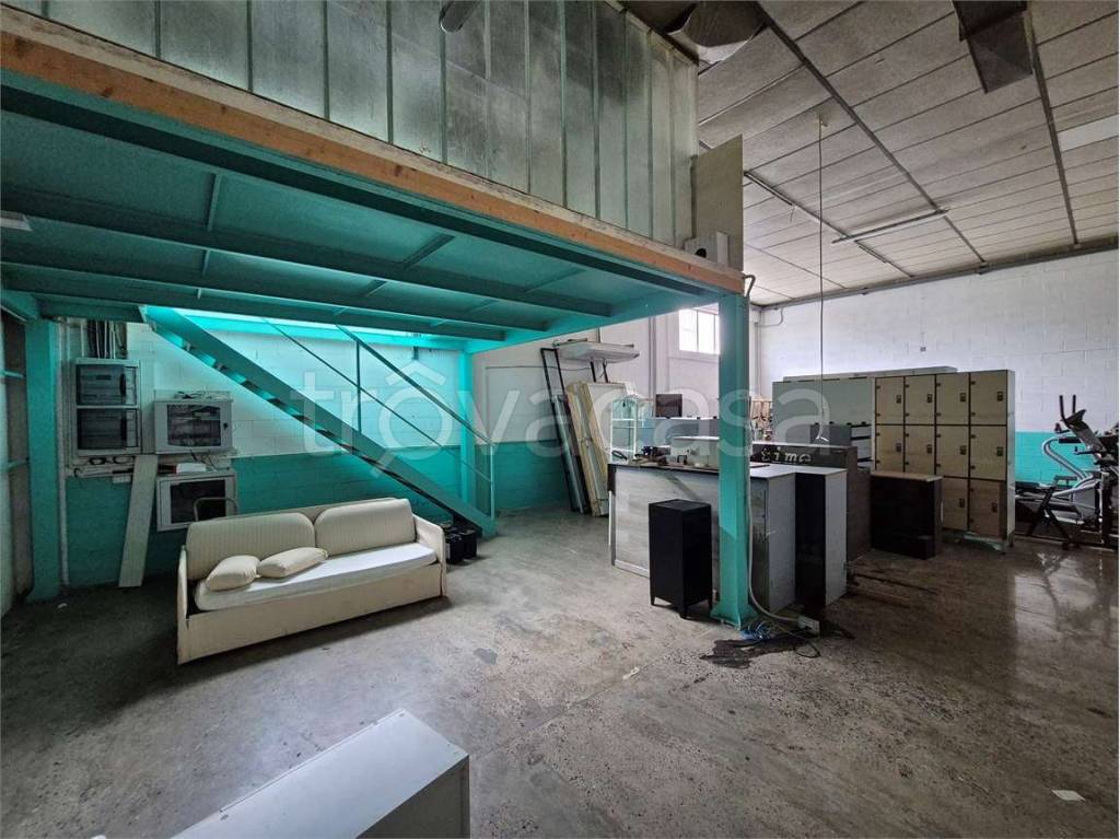 immagine annuncio 2 di 15